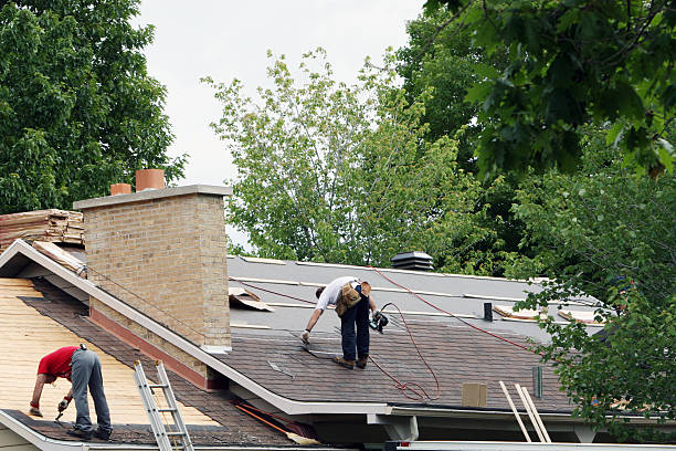 Best Roof Gutter Cleaning  in Rockwell, NC